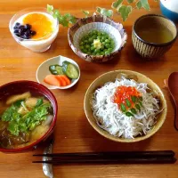 Snapdishの料理写真:釜揚げしらす丼de朝ごはん😃🍀|nono_miさん