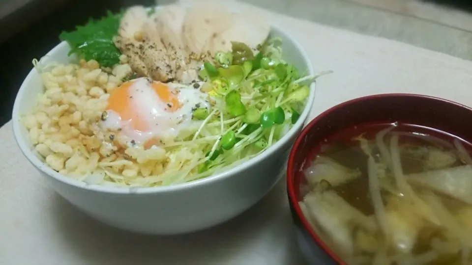 Snapdishの料理写真:2代目ｻﾗﾀﾞﾁｷﾝ丼～✨|kaz(*･ω･)さん