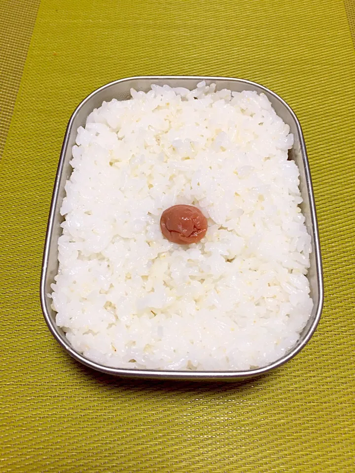 Snapdishの料理写真:お弁当|sasori595さん