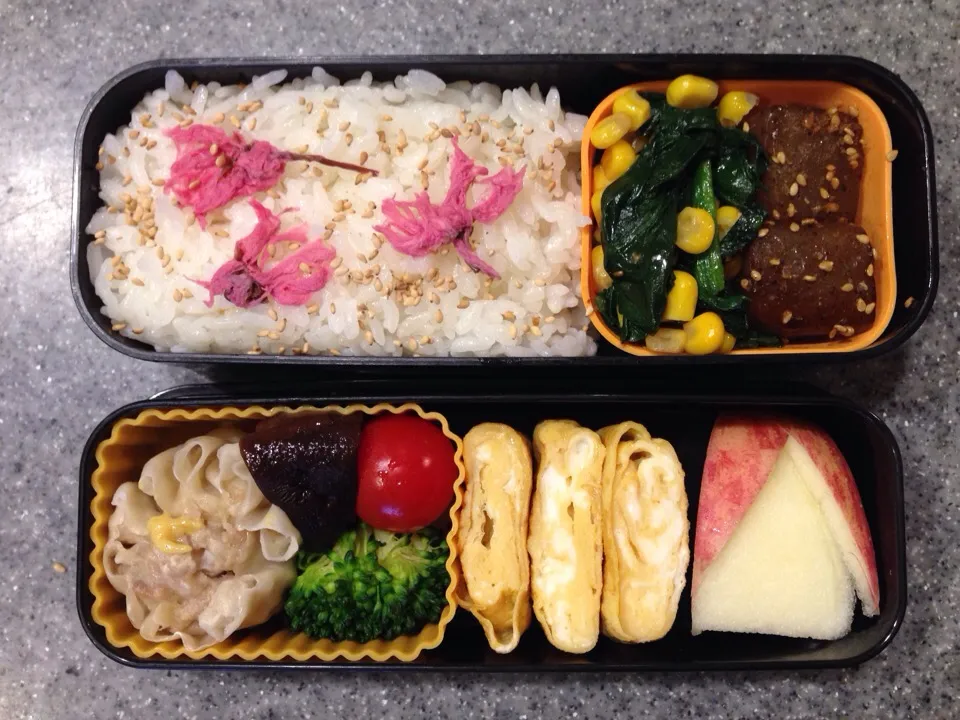 2015.04.01お弁当|herbalkidsさん