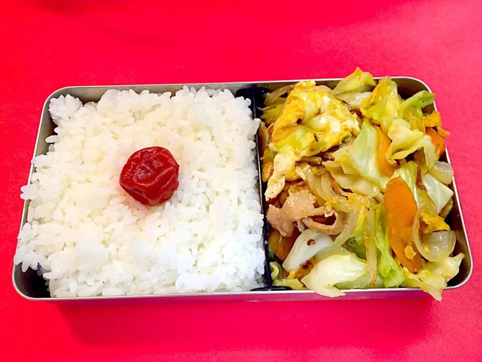 Snapdishの料理写真:2015.4.1 お弁当|風流料理人さん