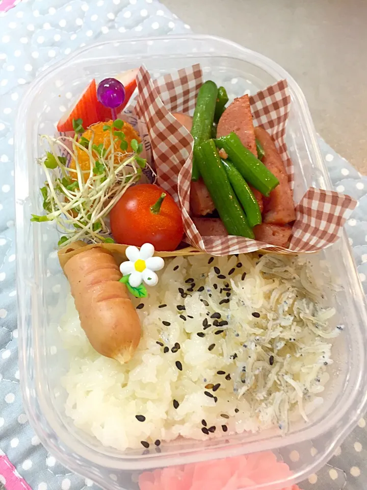 スパム弁当|くるみるくさん