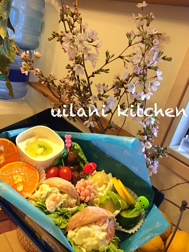 Snapdishの料理写真:ランチボックス0401＊気分だけはお花見弁当♪|yukie@uilanikitchenさん