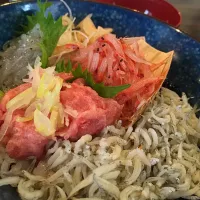 Maguro Tataki and Mix Iwashi Don|Jujuさん