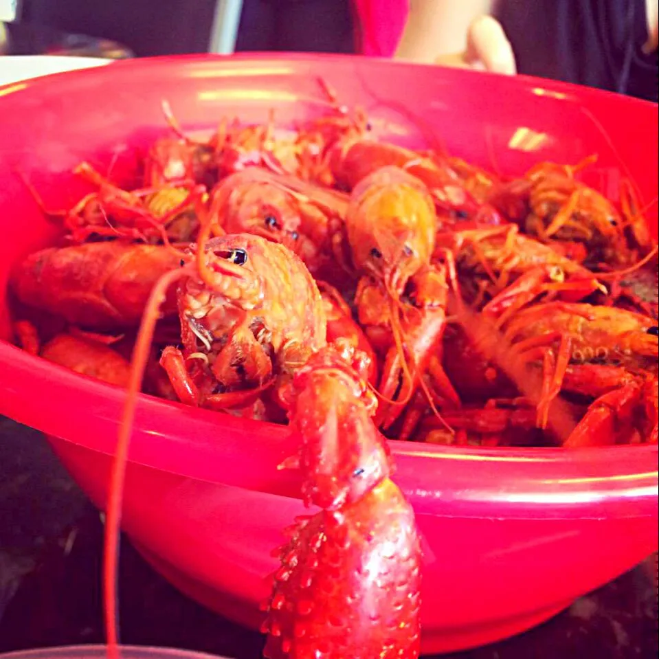 Snapdishの料理写真:Out With Friends at the Tin Roof for Mudbugs and Beers #Crawfish #Seafood #Main dish ❤ #Drinks #Alcohol|Alisha GodsglamGirl Matthewsさん