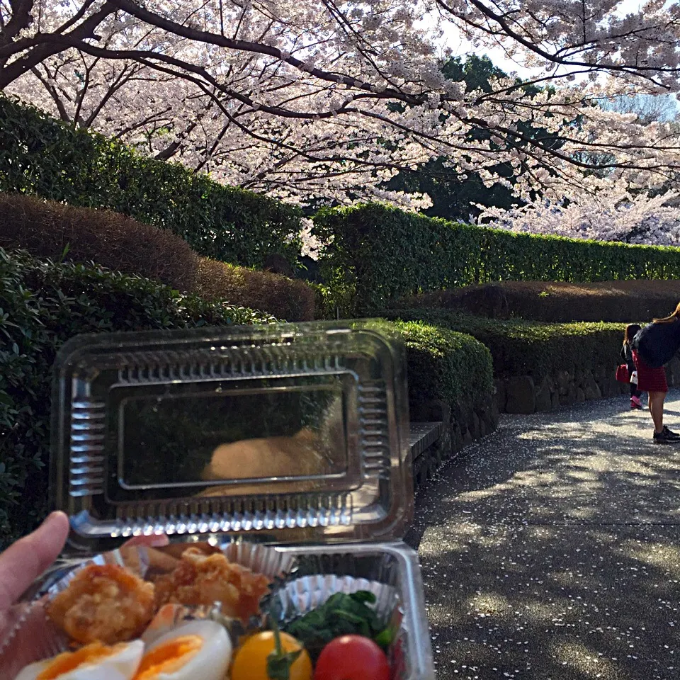 花見ランチ|純さん