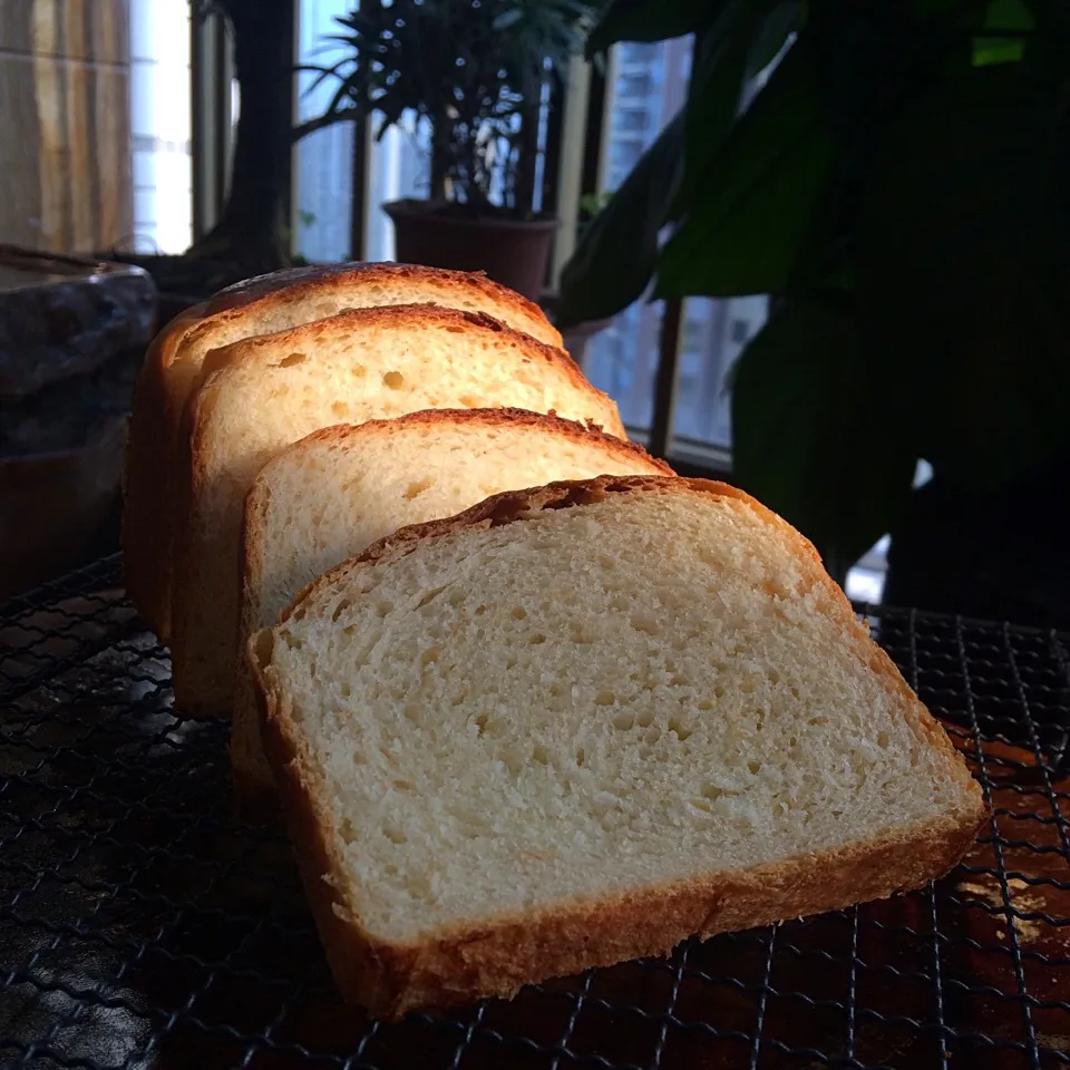 Snapdishの料理写真:🌞Natural yeast milky toast~|🍞LeeLee🍞さん