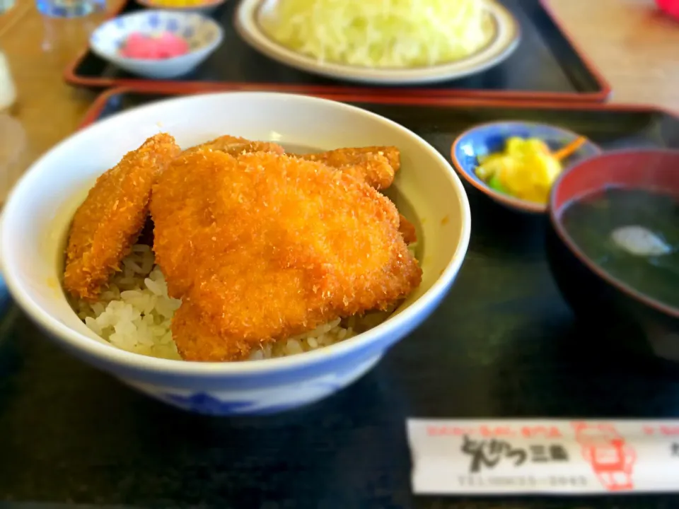 タレカツ丼|Perritoさん