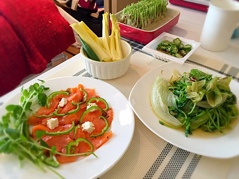 Salmon salads w Kiri cheese /lettuce pea sprouts w garlic|Rinaさん