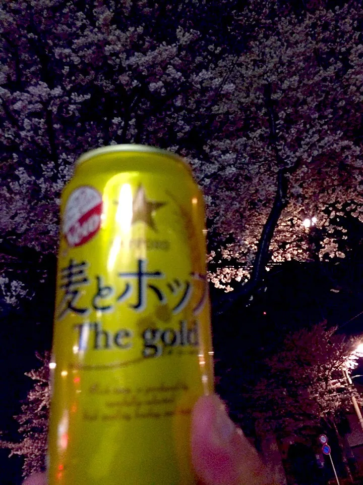 桜…麦ホ ひとりカンパーイ🍻|風流料理人さん