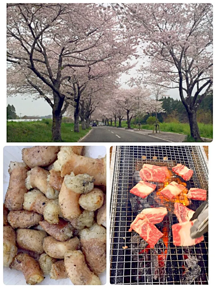 お花見🌸BBQ|よこたんさん