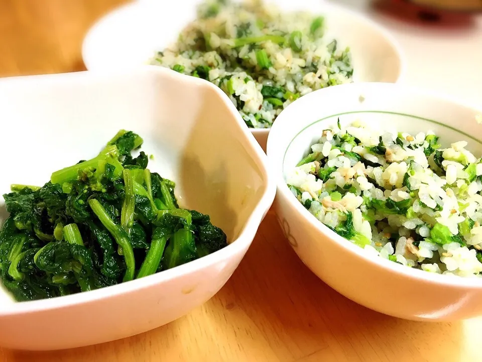 菜の花辛子和えと菜の花ご飯|まりっぺさん