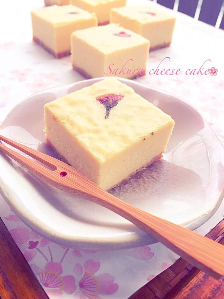 Sakura cheese cake🌸|サクラさん