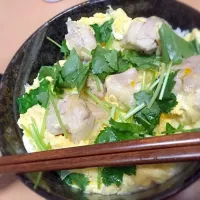 Snapdishの料理写真:親子丼|Yamakoshi Maiさん