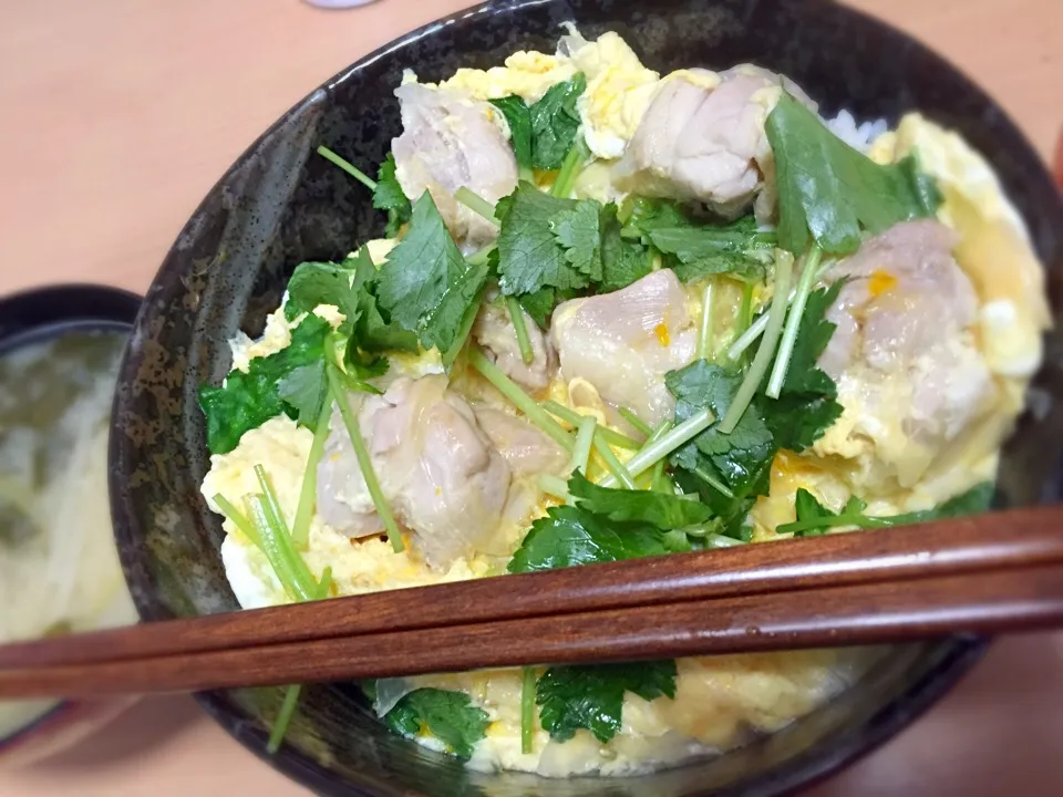 親子丼|Yamakoshi Maiさん