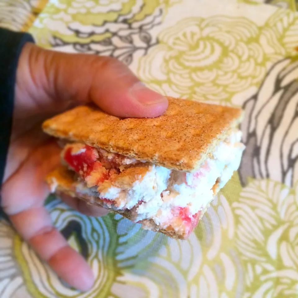 Graham Cracker Icecream Sandwich!  Weekend Special!|mamakumiさん