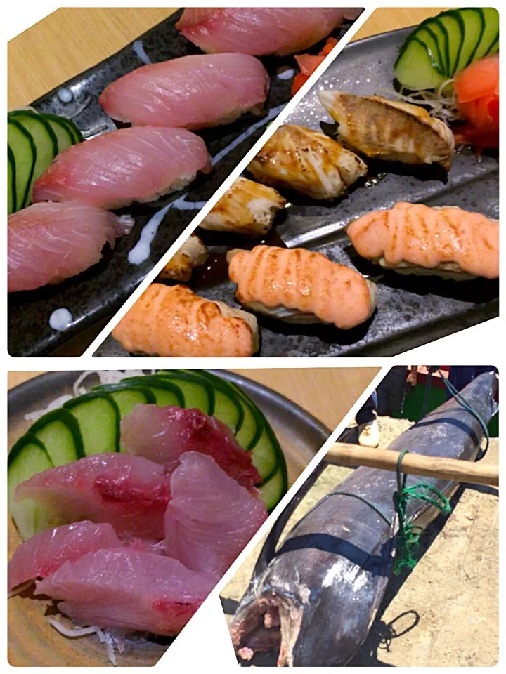 スンダ港で採れたての魚を捌いて料理してみました‼️|sugimotokazuhitoさん