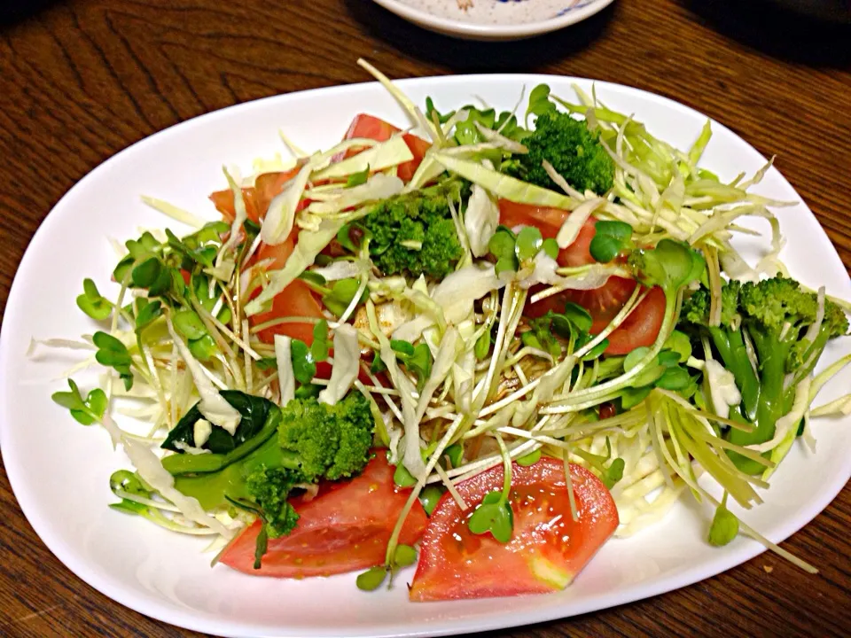 Today's dinner' mix salad|viviさん