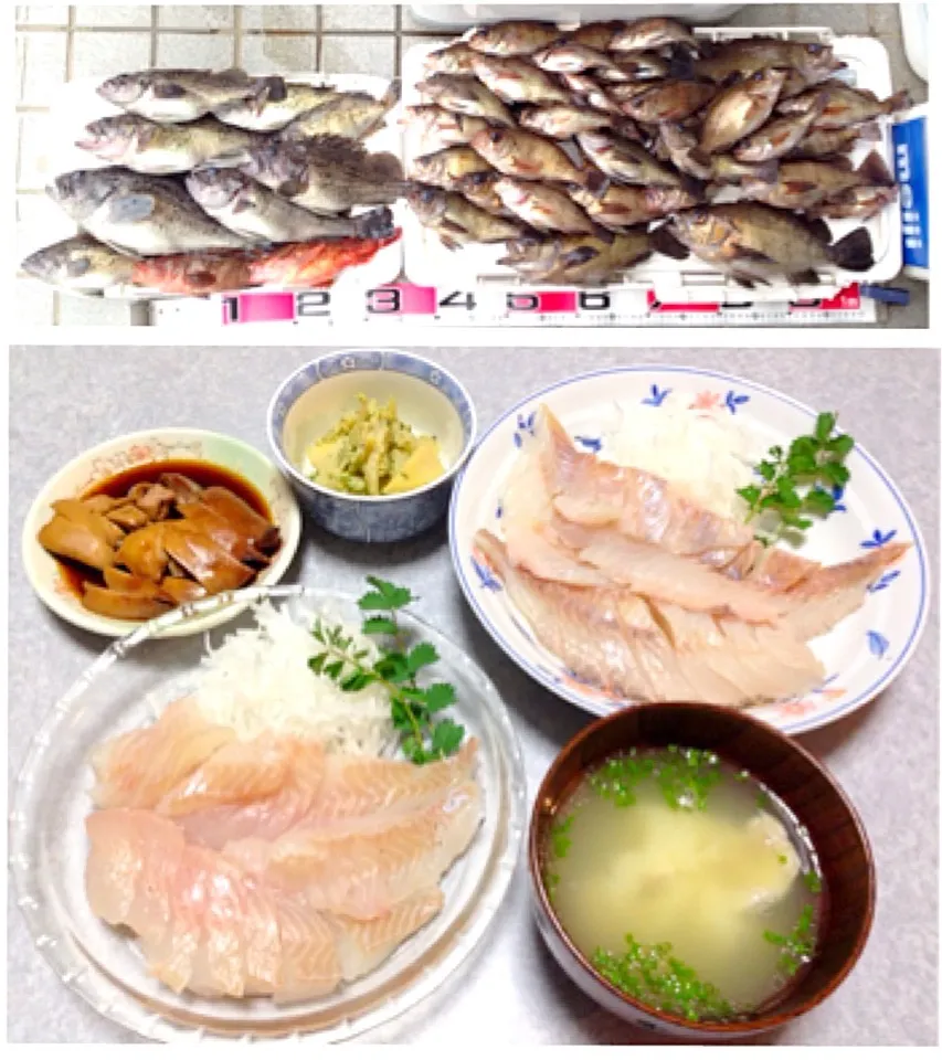 魚がたくさん釣れたので|Orie Uekiさん