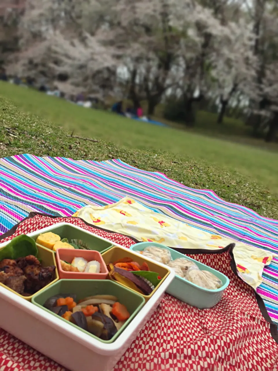 Snapdishの料理写真:お花見弁当|krchopさん