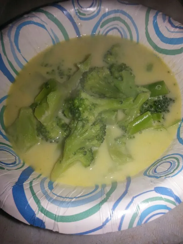 vegan cream of broccoli soup.|Polly Gelfusoさん