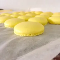 Lemon Macaron Shell|aiko lexieさん