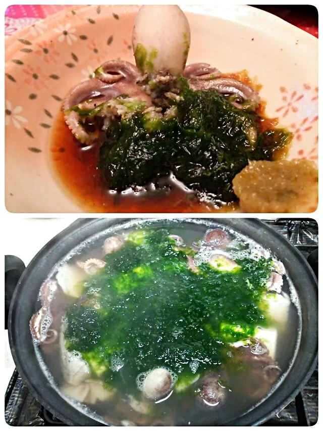 今日の湯豆腐はイイダコ、鱈、生海苔。|kamekameさん