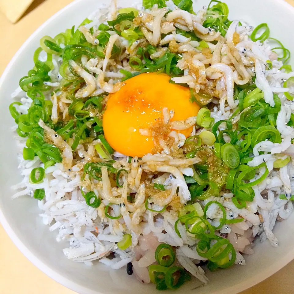 しらす丼|ぺぇさん