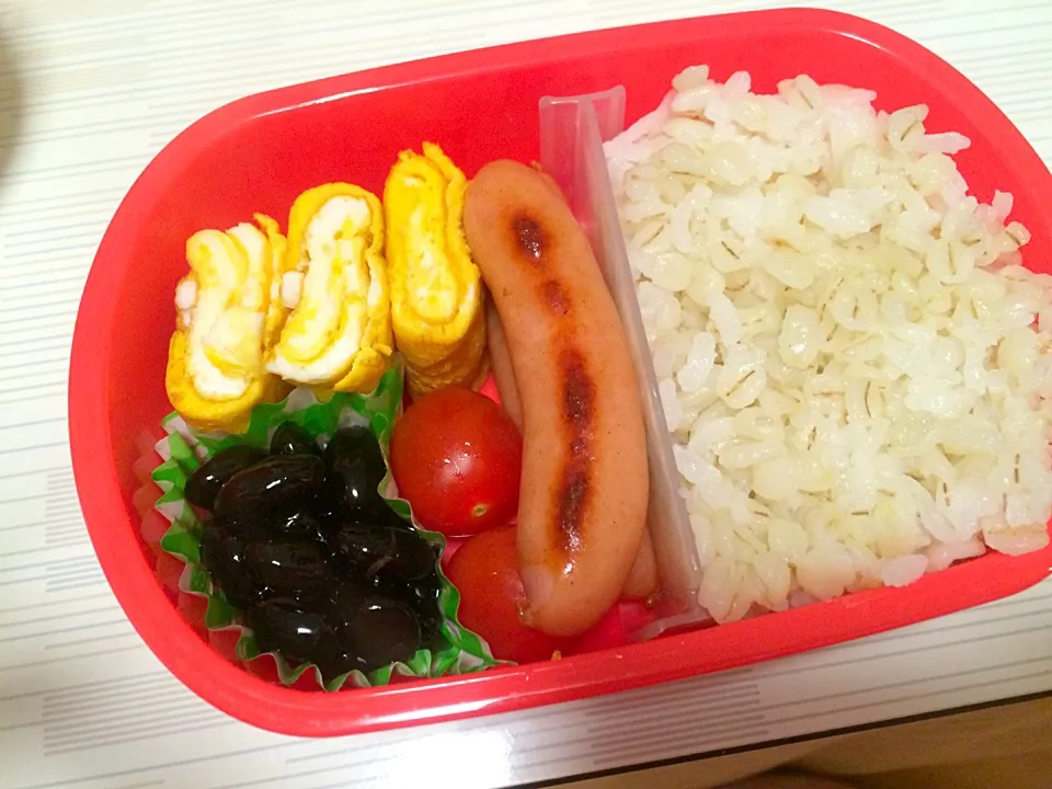 本日のお弁当|himari☺︎さん