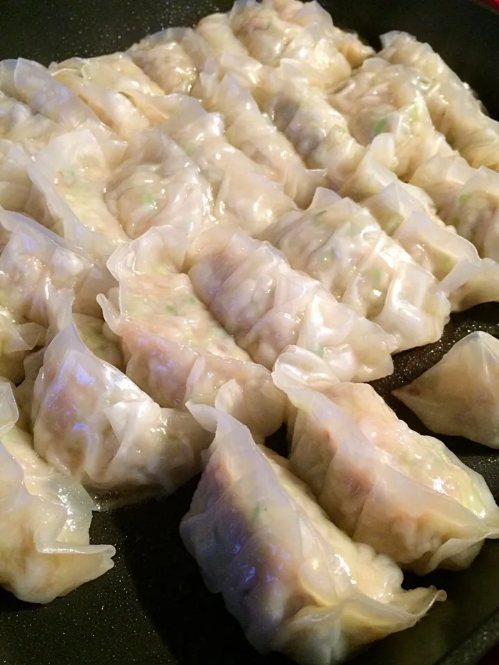 Pork and shrimp Gyoza|Nigelさん