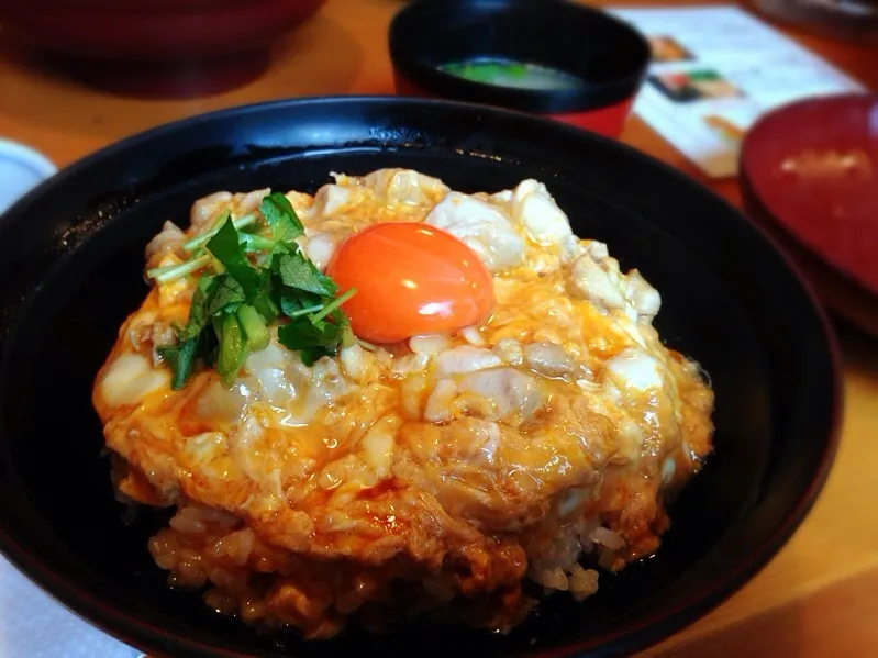 Snapdishの料理写真:親子丼|chan mitsuさん