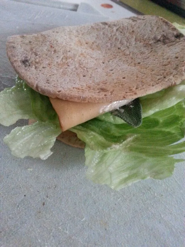 my sandwich for work.  oven roasted tofurkey with lettuce,  mayo,  And fresh sage on a flat bread.|Polly Gelfusoさん