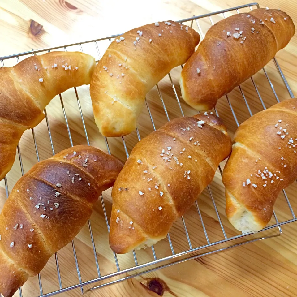 💙塩バターロール💚パン熱に火がつくとひたすら作ってしまいます👐|らぃさん