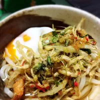 春野菜のかき揚げうどん温玉添え(ルッコラの花、新ごぼう、豆苗、玉ねぎ、ちくわ、紅生姜)|ちさとさん