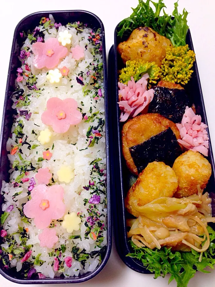 Snapdishの料理写真:4/9 弁当|Mikaさん