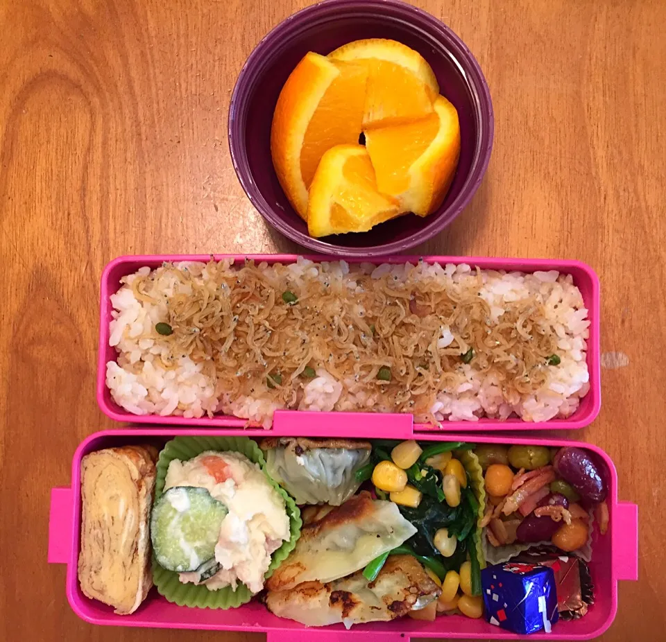 2015/4/9 お弁当|lisataroさん