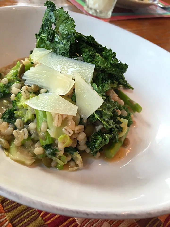 barley risotto with veges, pepitas, pecorino, and kale|Matthew Cashenさん