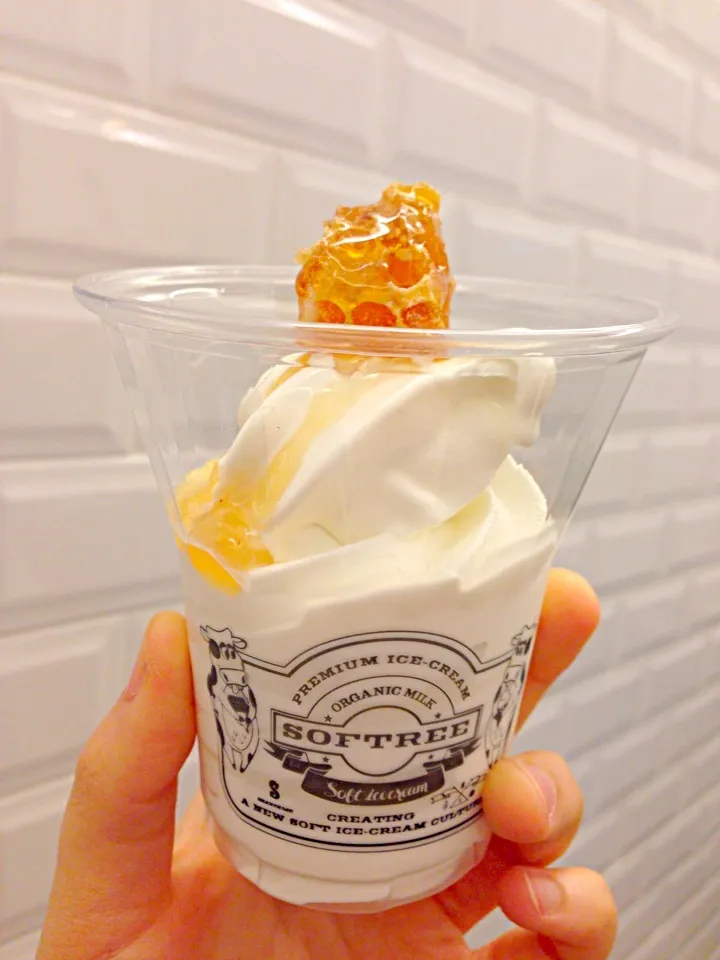 Honey chip ice cream|PhUnGさん