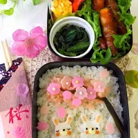 ゆっぴーの🌸お花見弁当