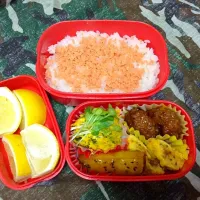 Snapdishの料理写真:お弁当|nariさん