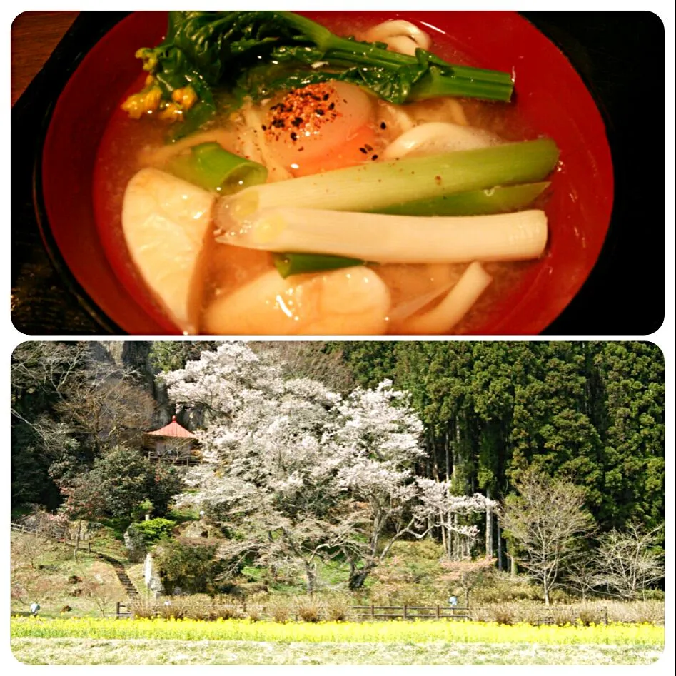 菜の花添えて春うどん、まだまだ満開堪能中(^-^)
冷凍卵、笹カマ、長ネギも添えました(^_^)/~~|quitaさん