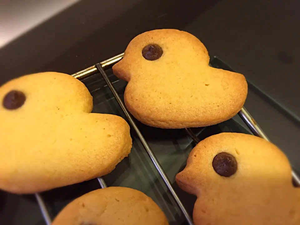 Ducklings Butter Cookies|Angelaさん