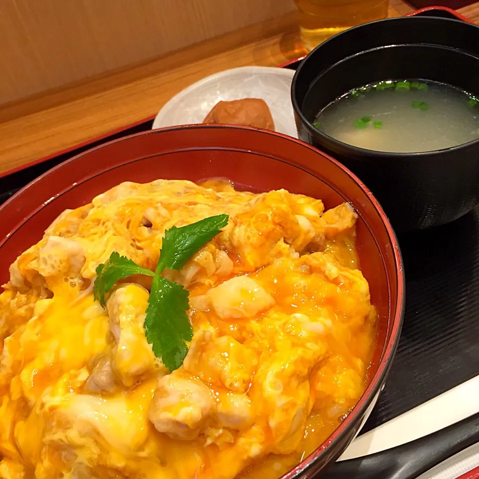 名古屋コーチン親子丼|ヨッチャンさん