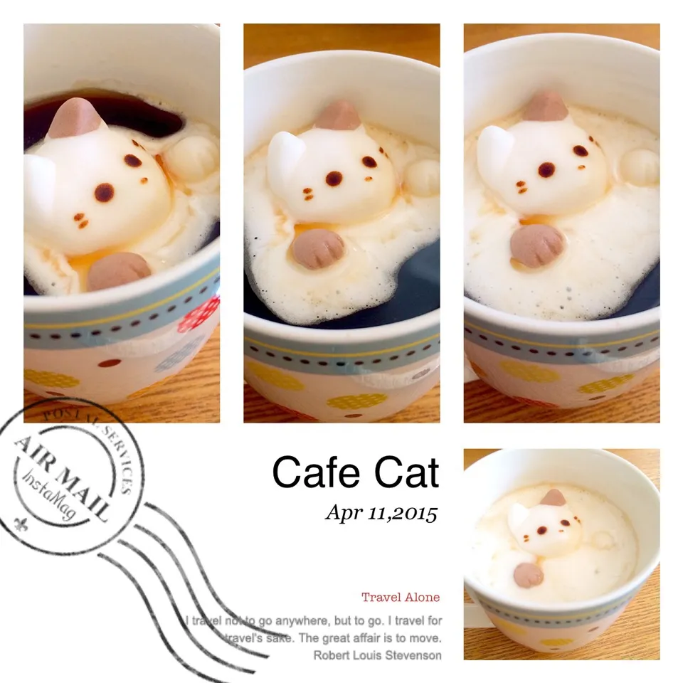 Cafe Cat|なおさん