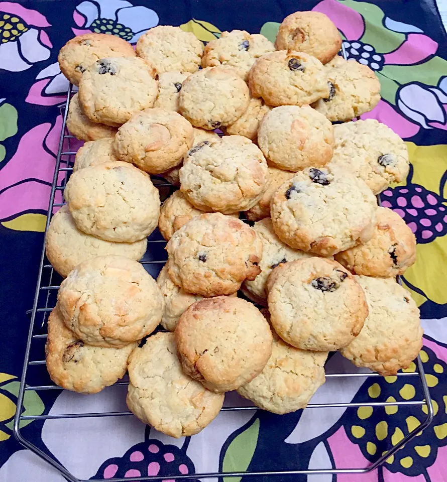 White chocolate cashew and raison cookies|Kumigarさん