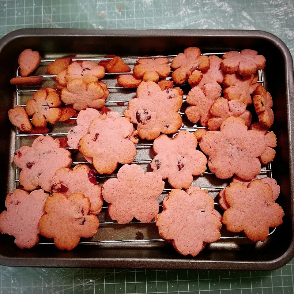 Cherry Blossom Cookies|SMKさん