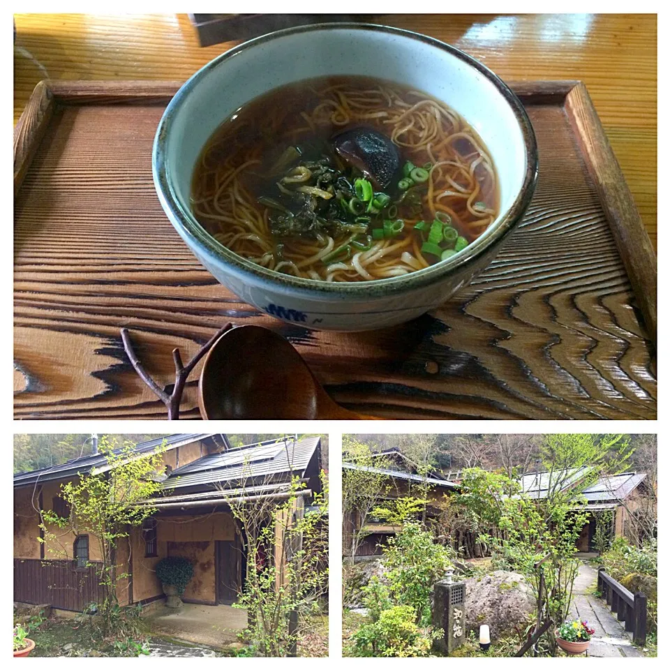 小国町ファームロードのお蕎麦屋『和の花』 たかな蕎麦|コージ💫さん