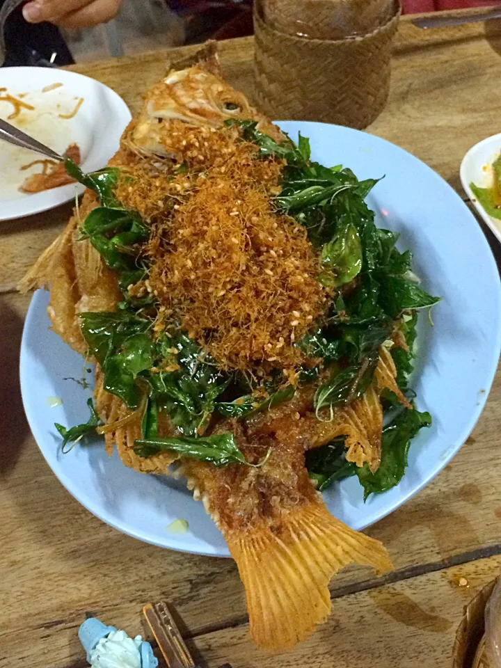 Deep fried super crispy fish with lemon grass 🐟|Stamp P.さん