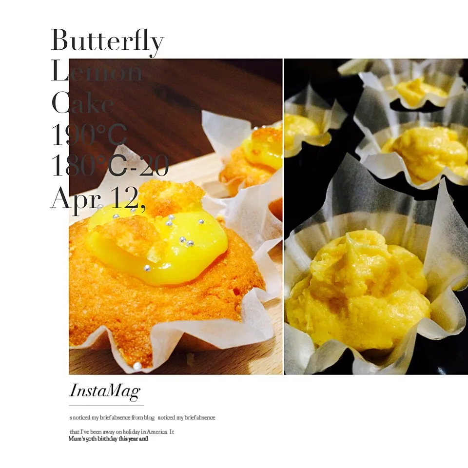 🇬🇧Butterfly Lemon Cake🍋|まきんすぱん///さん