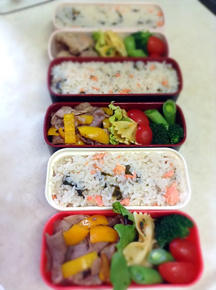 Today's lunch box. 鮭わかめごはん好評につき娘とハニーから弁当リクエスト|hoppycowさん